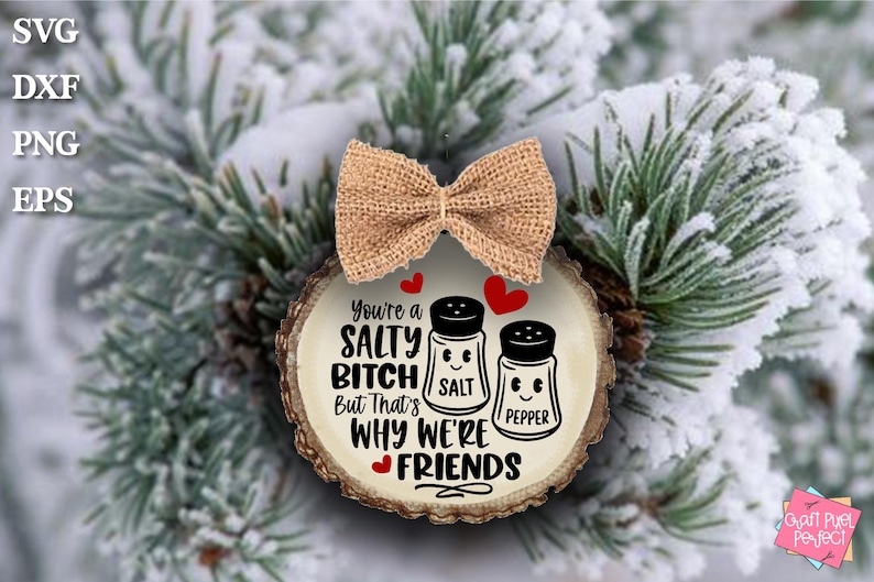 Adorno de amigo divertido SVG, adorno inapropiado SVG, eres una perra salada, regalo de amistad SVG, recuerdo de Navidad, adorno de compañero de trabajo SVG imagen 3