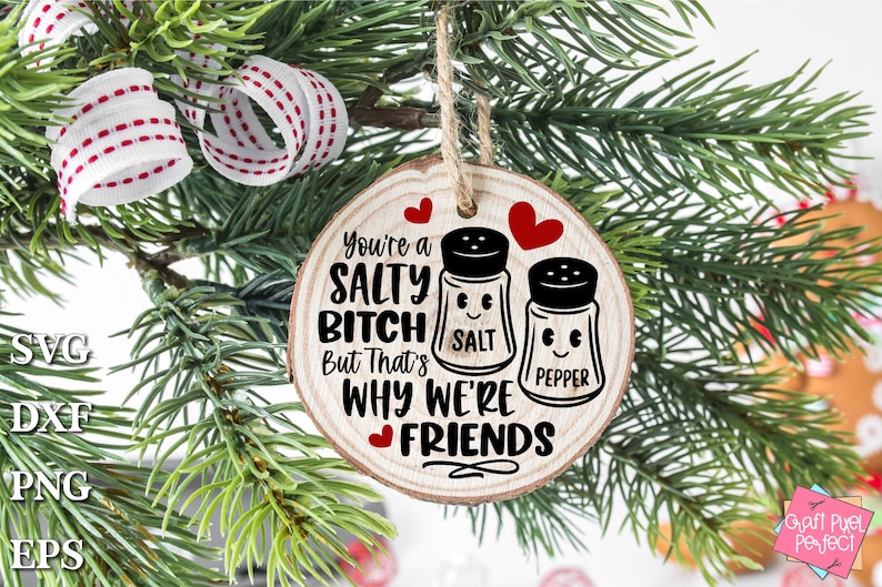 Adorno de amigo divertido SVG, adorno inapropiado SVG, eres una perra salada, regalo de amistad SVG, recuerdo de Navidad, adorno de compañero de trabajo SVG imagen 5