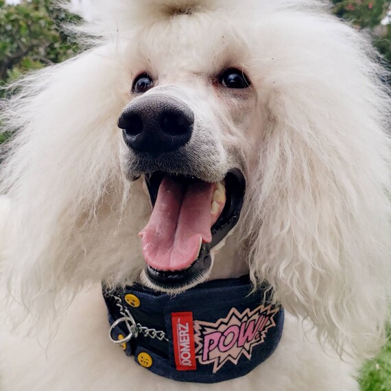 satin poodle collars