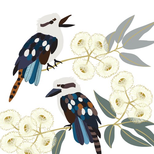 Australian Birds Budgies Giclee Art Print Etsy