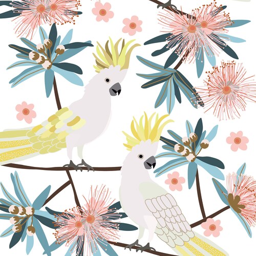 Australian Birds Budgies Giclee Art Print Etsy
