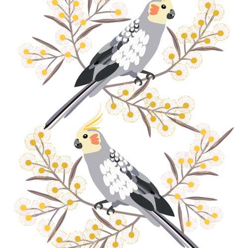 Australian Birds Black Cockatoo and Banksia Giclee Art Print Etsy