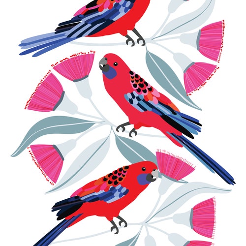 Australian Birds Galah Giclee Art Print Etsy