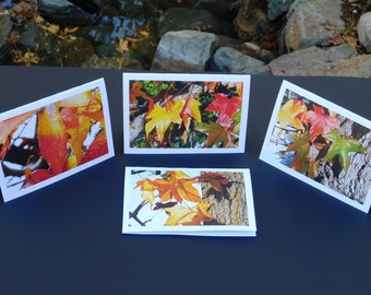 Eight Liquid Amber Leaves Photo Note Cards with Envelopes (4 Designs, 2 Each). Blank Inside. Great Autumn Gifts. All Occasion