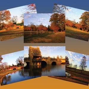 Automne dans le parc culturel Blount Cartes de notes photo avec enveloppes. Capturé à Montgomery, Alabama. Vide à l’intérieur. Grand cadeau. Toutes les occasions.