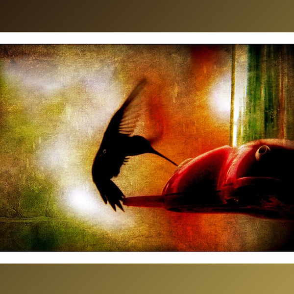 Hummingbird. A Magnificent Beautiful Silhouette of One of Nature's Smallest Creature. Photo Note Card 7" x 5"  with White Envelope