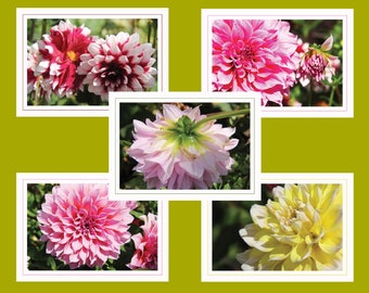 DAHLIAS – A Ten Note Card Collection