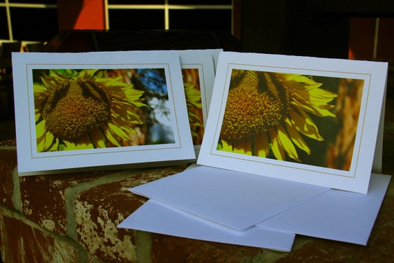 3 x Packs of Six Sunflower Notecards and Envelopes Blank Inside