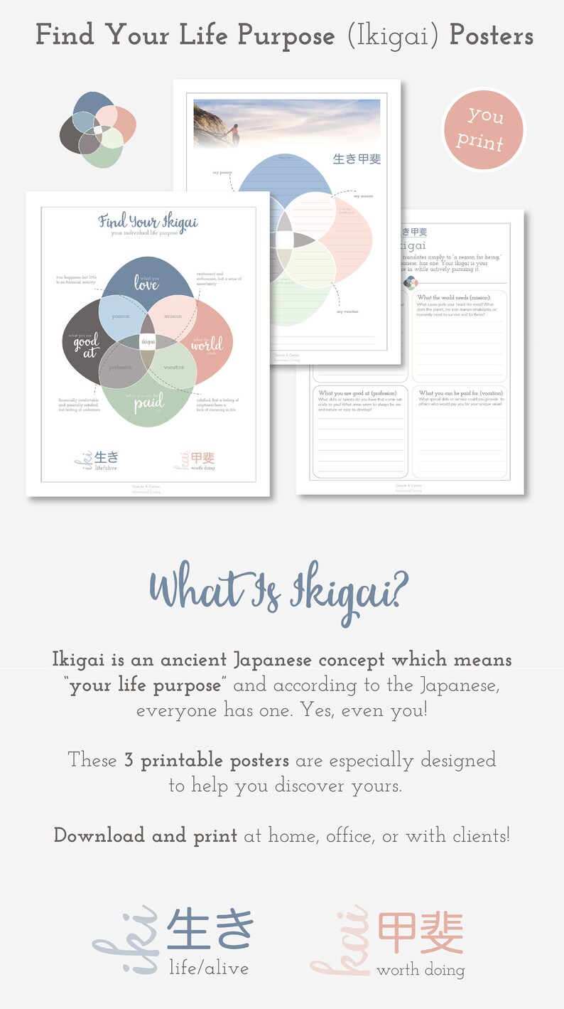 Find Your Ikigai Printable Worksheet POSTER 16x18 Size - Etsy