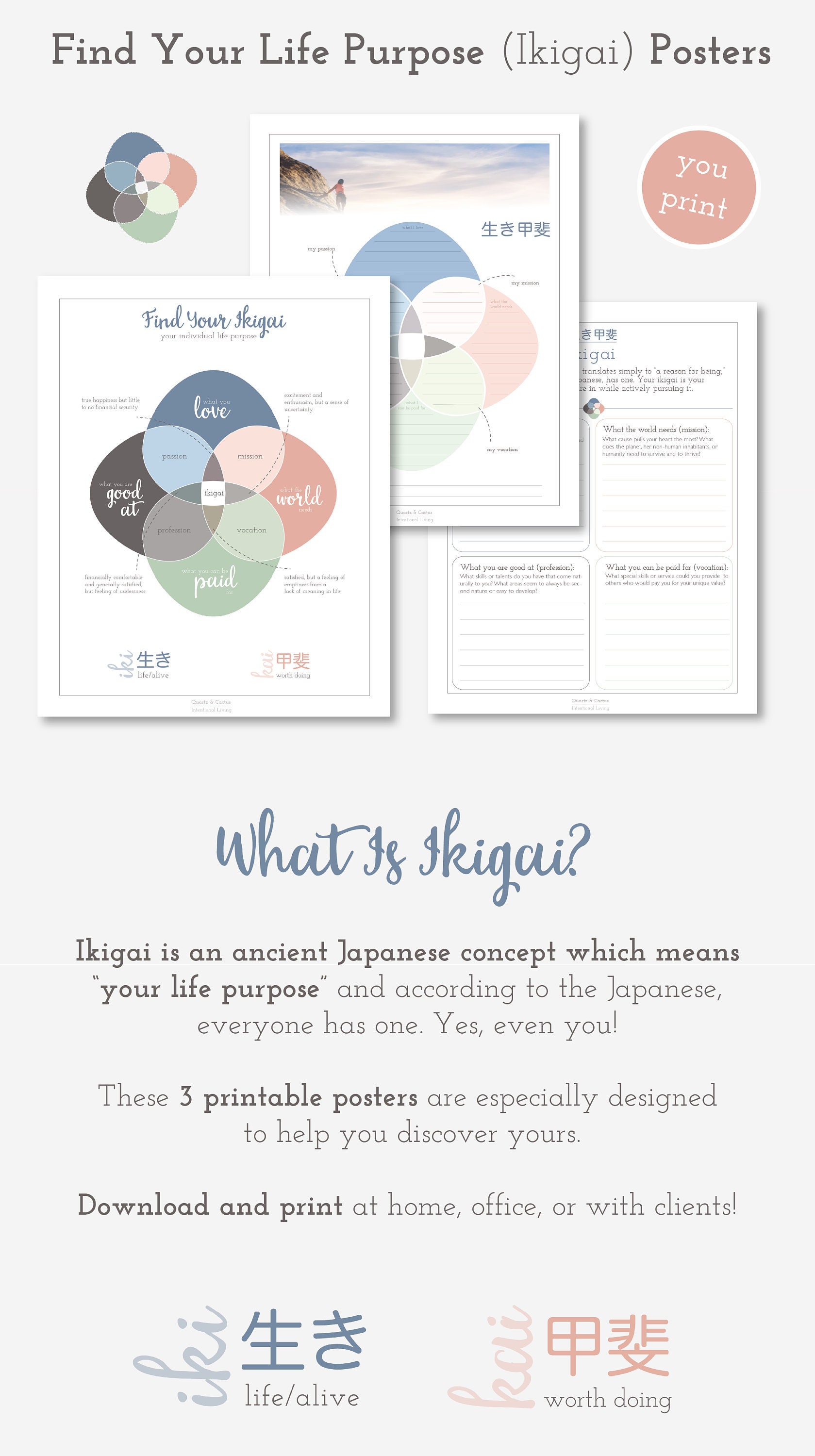 Find Your Ikigai Printable Worksheet POSTER 16x18 Size - Etsy