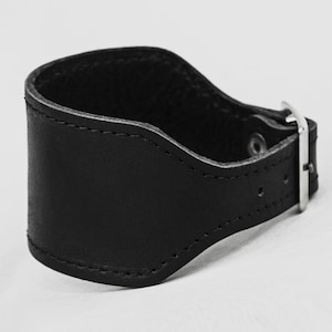 May include: A black leather collar with a silver buckle. The collar is stitched with a decorative seam.