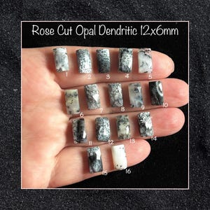 Może przedstawiać: Szesnaście kaboszonów z dendrytycznego opalu, każdy o wymiarach 12 mm x 6 mm, ułożonych w rzędy na dłoni. Opale są mlecznobiałe z czarnymi dendrytycznymi inkluzjami.