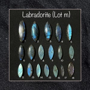 May include: A collection of eighteen oval-shaped labradorite gemstones, each displaying iridescent blue and green flashes. The stones are numbered and labeled "Labradorite (Lot m)" on a black background, showcasing their unique patterns and colors.