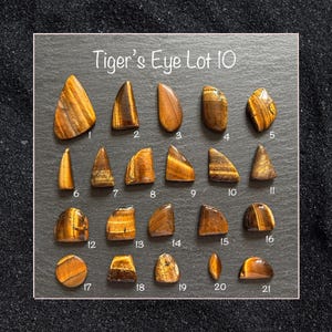 May include: Twenty-one polished tiger's eye gemstones, displaying brown, gold, and black patterns. The stones are arranged on a dark grey surface, labelled with numbers and the text "Tiger's Eye Lot 10".