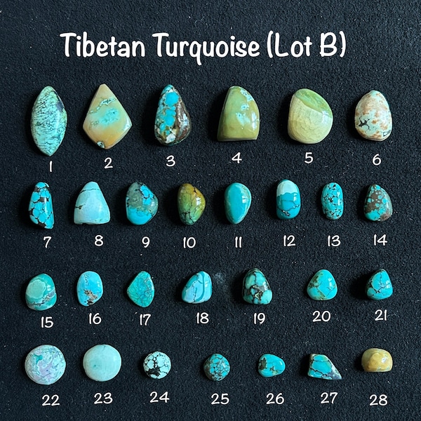 Turquoise tibétaine ronde, cerf-volant, marquise et cabochon de forme libre de forme fantaisie (lot B)