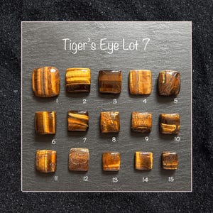 May include: Fifteen square Tiger's Eye gemstones, numbered 1 to 15, are displayed on a dark grey surface. The stones exhibit brown, gold, and black hues with visible banding. The text "Tiger's Eye Lot 7" is at the top of the image.