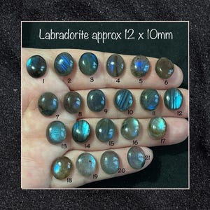Op de afbeelding: Eenentwintig Labradorit edelstenen, elk ongeveer 12 x 10 millimeter, worden in rijen op een hand getoond. De stenen zijn een mix van donkergrijs en blauw met iriserende flitsen.