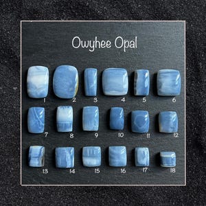 Peut inclure: Une collection de dix-huit pierres précieuses d'opale Owyhee, chacune avec une forme unique et un motif de couleur bleu et blanc. Les pierres sont disposées sur une surface sombre, avec le texte "Owyhee Opal" affiché.