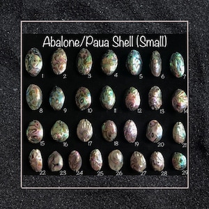 Small Abalone / Paua Shell Double Sided (Drilled)
