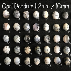 Peut inclure: Une collection de 45 cabochons d'opale dendritique, chacun mesurant 12 mm sur 10 mm. Les cabochons sont disposés en rangées sur une surface noire. L'opale dendritique est un type d'opale qui contient des inclusions dendritiques, qui sont des motifs en forme d'arbre. Les cabochons sont de différentes nuances de blanc, de gris et de noir.