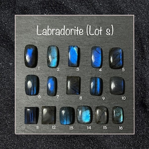 Può includere: Sedici pietre preziose di labradorite lucidata, ognuna con una forma unica e sfumature iridescenti blu e grigie. Le pietre sono disposte su una superficie scura e numerate. Il testo "Labradorite (Lot s)" è in alto.