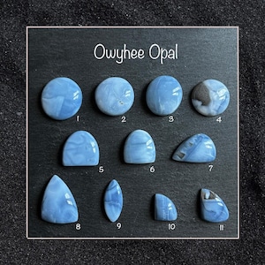 Peut inclure: Une collection de onze pierres précieuses d'opale Owyhee de différentes formes, dont rondes, ovales et en forme de goutte. Les opales sont principalement bleu clair avec des motifs et des textures tourbillonnants. Le texte "Owyhee Opal" est affiché en haut.
