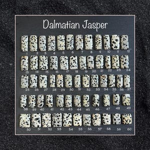 May include: A collection of 60 Dalmatian Jasper stones, each with a unique pattern of black spots on a white background. The stones are arranged in rows and numbered from 1 to 60.