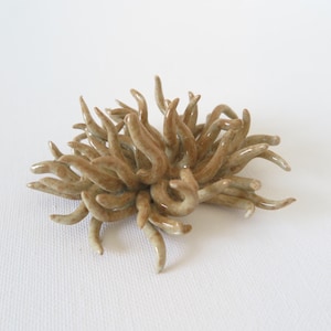 Nudibranch art, underwater painting sculpture , sea creature, handmade ceramic painting, seasalug, nudibranch, artpiece. Nudibranch pottery.