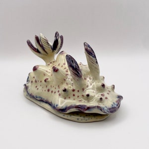 Nudibranch art, underwater painting sculpture , sea creature, handmade ceramic painting, seasalug, nudibranch, artpiece. Nudibranch pottery.