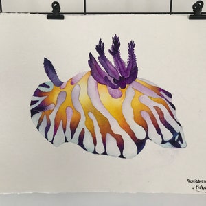 Nudibranch painting, underwater painting, sea creature, original painting.