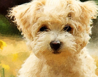 Custom Pet Portrait Oil Painting Effects on Canvas, Portrait from Photo, Cat, Dog or Bird Painting Custom, Framed Wall Art, Pet Loss Gifts