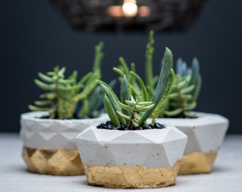 Geometric Polygon Planter Collection (3) - Concrete with Gold Leaf