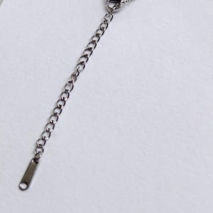 Pu&ograve; includere: Primo piano di una collana color argento con catena regolabile. La collana presenta una catena sottile collegata a una serie di piccoli anelli ovali. La catena regolabile ha una piccola etichetta rettangolare all'estremit&agrave;.