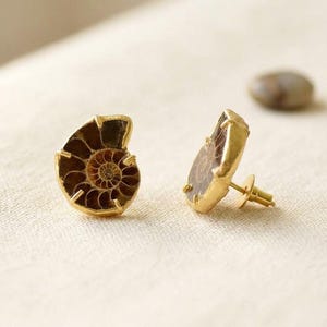 Natural Ammonite Stud Earrings - Push Back Studs - Gift For Her - Wedding Jewelry - Handmade Earrings