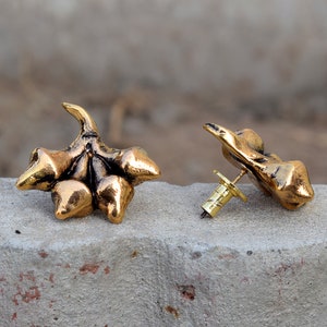 Beautiful Strawberry Stud Earrings \ Fancy Earrings \ Statement Earrings \ Antique Earring \ Fruit Earrings \ Stud Earrings \ Boho Earrings