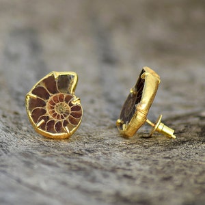 Ammonite Stud Gemstone Earrings \ Push Back Stud \ Brass Earrings \ Earrings For Women \ Unique Earrings \ Womens Earring \ Stud Earrings