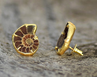 Ammonite Stud Gemstone Earrings \ Push Back Stud \ Copper Earrings \ Earrings For Women \ Unique Earrings \ Womens Earring \ Stud Earrings