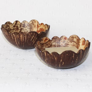 coconut shell soap dishes