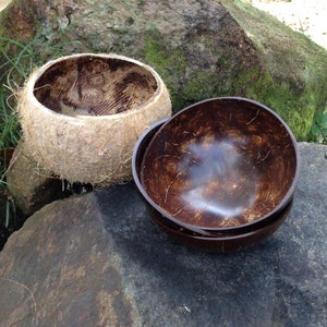 Coconut shell bowls smooth 3 sizes image 8