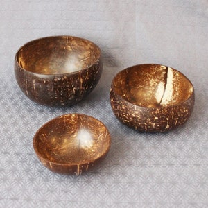 Coconut shell bowls smooth 3 sizes image 2