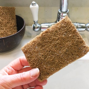 Kokosfiberskursvampar - par bild 3