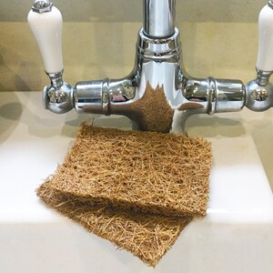 Kokosfiberskursvampar - par bild 2