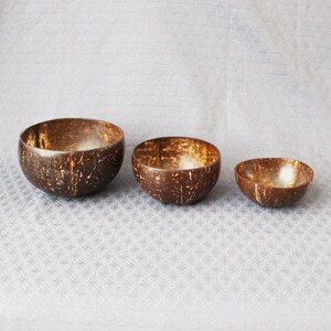 Coconut shell bowls smooth 3 sizes image 3