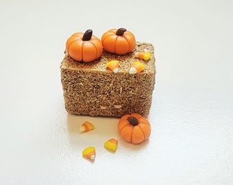 Miniatyr dockhuspumpor Höbal och godismajs