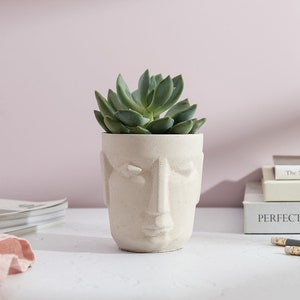 Puede incluir: Un macetero de cerámica blanca con forma de cara con una planta suculenta en su interior. El macetero está sobre una mesa blanca con libros apilados uno encima del otro. Los libros tienen los títulos "The New Mindful Home", "Scandirustic" y "Perfect Imperfect".