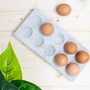 Puede incluir: Un porta huevos de hormig&oacute;n gris con seis huevos marrones y un espacio vac&iacute;o. El porta huevos est&aacute; sobre una superficie de madera clara con una planta de hojas verdes en la esquina inferior izquierda.