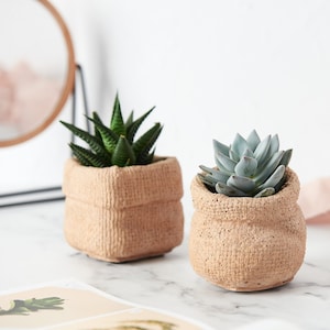 Maceta de bolsa de papel fundida en hormigón