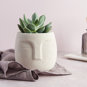 Moai style concrete plant pot with 3d face design