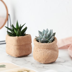 Vaso per piante in sacchetto di carta gettato in cemento, perfetto per uso interno o esterno. Vaso per cactus in borsa marrone