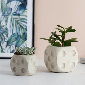 May include: Two concrete planters shaped like dice, one with a small succulent and the other with a larger green plant. The planters are sitting on a white surface.